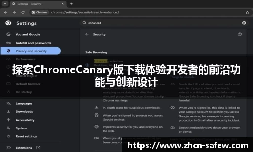 探索ChromeCanary版下载体验开发者的前沿功能与创新设计